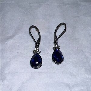 Elegant Blue Drop Earrings